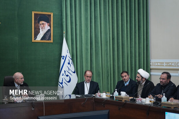 دیدار اعضای شورای هماهنگی دهه فجر با رئیس مجلس شورای اسلامی