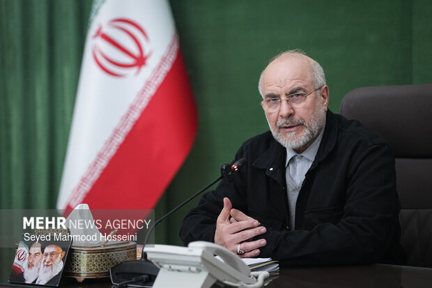 دیدار اعضای شورای هماهنگی دهه فجر با رئیس مجلس شورای اسلامی