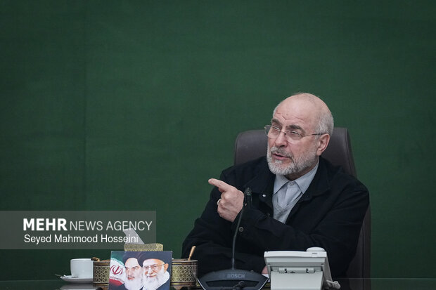 دیدار اعضای شورای هماهنگی دهه فجر با رئیس مجلس شورای اسلامی