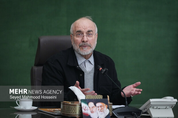 دیدار اعضای شورای هماهنگی دهه فجر با رئیس مجلس شورای اسلامی