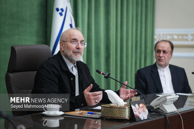 دیدار اعضای شورای هماهنگی دهه فجر با رئیس مجلس شورای اسلامی