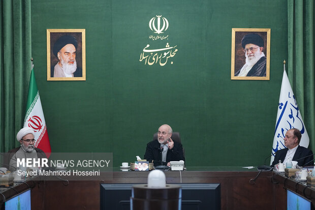 دیدار اعضای شورای هماهنگی دهه فجر با رئیس مجلس شورای اسلامی