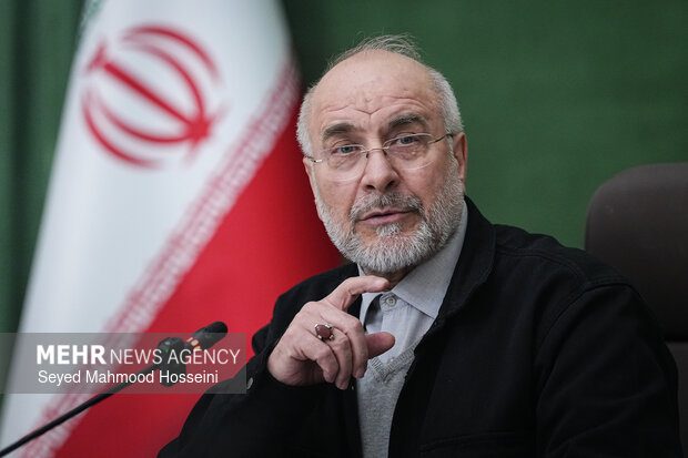 دیدار اعضای شورای هماهنگی دهه فجر با رئیس مجلس شورای اسلامی