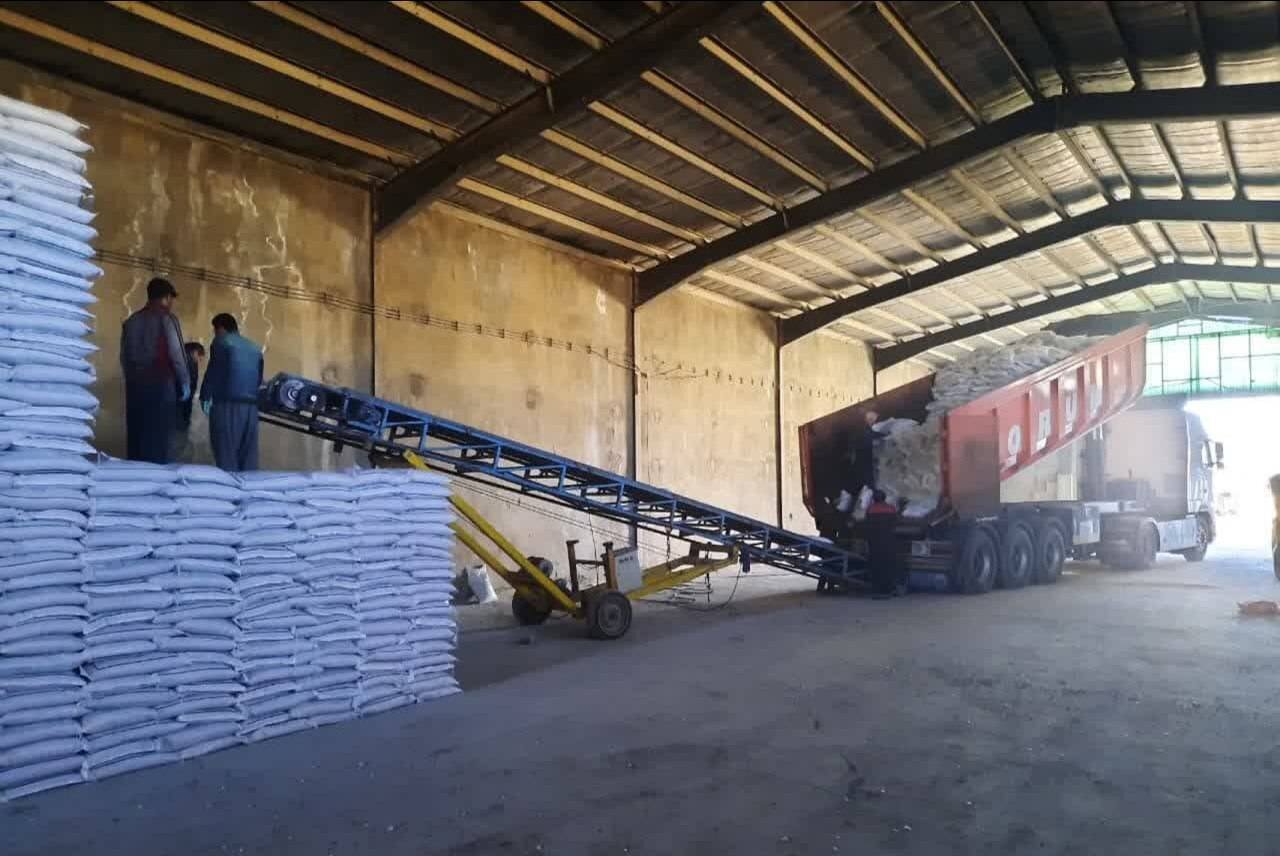 كشاورزي،كود،كشاورزان،تأمين،استان،افزايش،توزيع،اوره،كردستان،ك ...