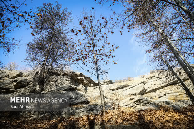 كيفيت،قبول،گزارش،قرار