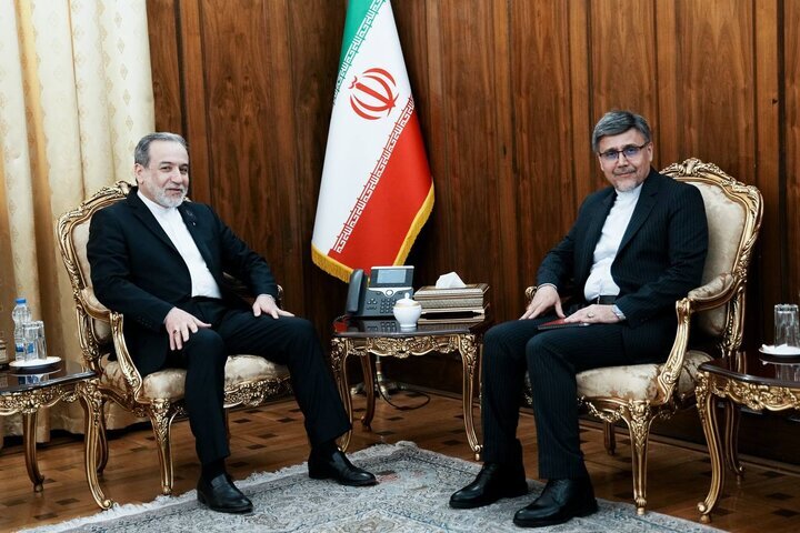 عراقجي يؤكد على أهمية علاقات إيران مع الدول الأفريقية