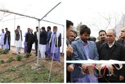 افتتاح واحد گلخانه‌ای ۸۰۰۰ مترمربعی پرورش محصولات کشاورزی در خاش