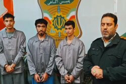 دستگیری باند سارقان با پوشش راننده یا مسافر در ری