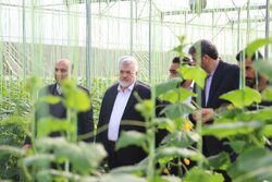 Tehran governor's visit to Varamin