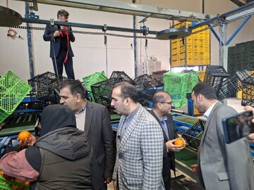 ۴ پروژه عمرانی و صنعتی در میاندورود افتتاح شد