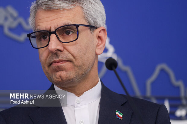 نشست خبری سخنگوی وزارت خارجه