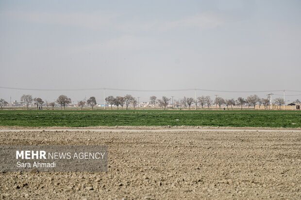 کلنگ زنی فاز دوم ۵۰۰ واحد مسکن مددجویان کمیته امداد در مشهد