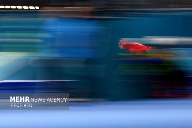 بازی‌های المپیک زمستانی میلان-کورتینا ۲۰۲۶