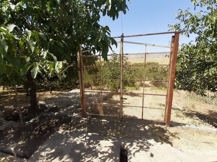 گشتهای پیشگیرانه؛ وقتی قانون قدم به مزرعه میگذارد