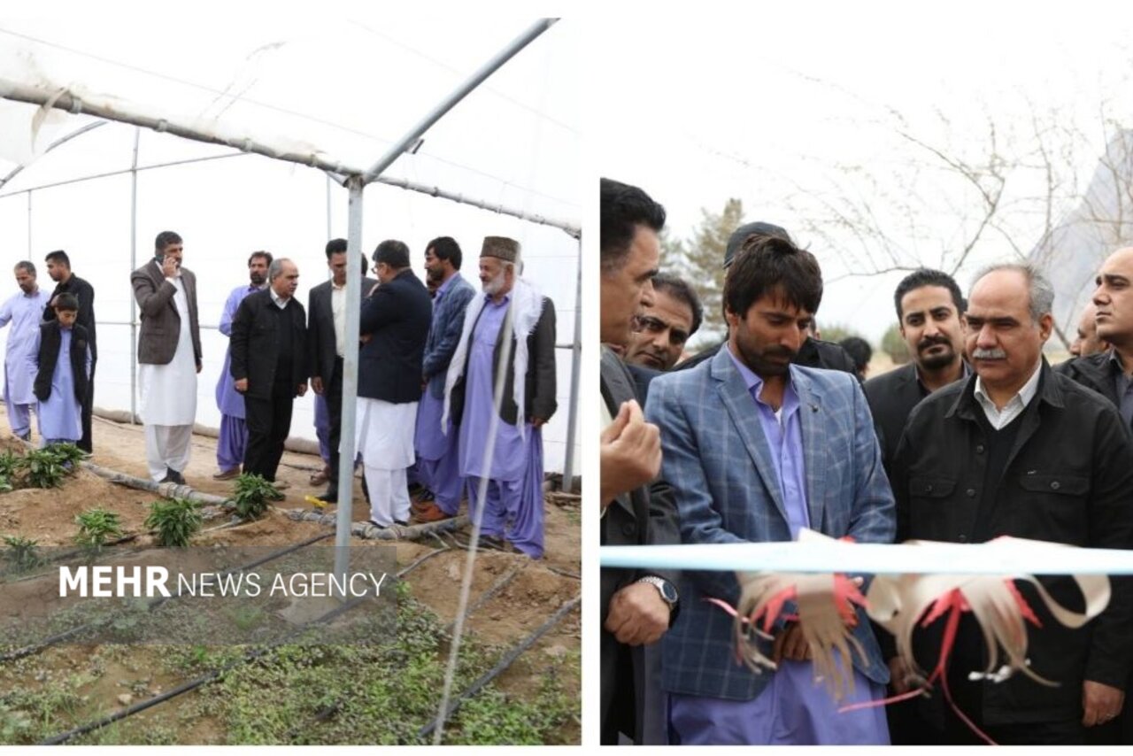 كشاورزي،خاش،شهرستان،محصولات،مراسم،واحد،استان