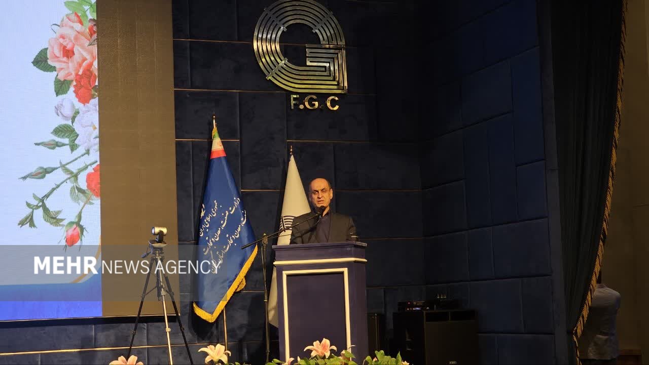 حق شناس: مدیریت مصرف انرژی و سوخت در گیلان اولویت دولت است حق شناس: مدیریت مصرف انرژی و سوخت در گیلان اولویت دولت است