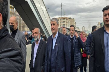 رئيس منظمة الطاقة الذرية يشارك في مسيرة 22 بهمن