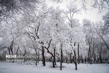 هشدار ورود سامانه بارشی جدید برف و باران شدید در  ۲۰ استان از فردا