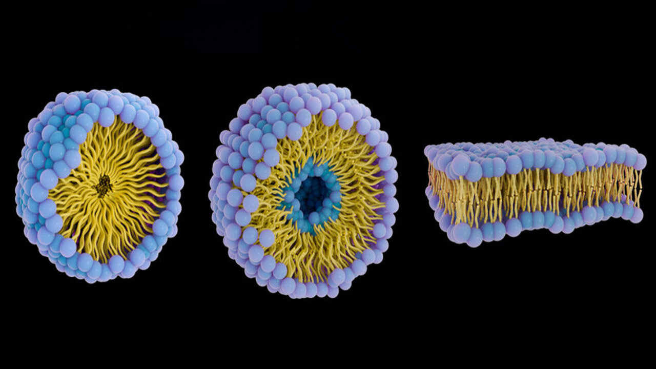 توليد،حباب،بدن،سطح،حبابي،ميكروسكوپي،فناوري،تيم،گائو،مغناطيسي ...