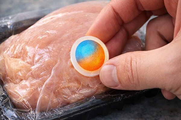 غذايي،مواد،نانوذرات،فساد،نشاسته،هوشمند،تغييرات،pH،گوشت،تخلخل