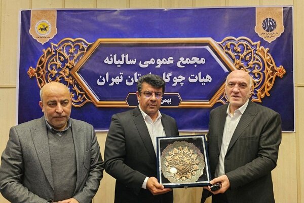 چوگان،تهران،مجمع،استان،ناظري،هيئت