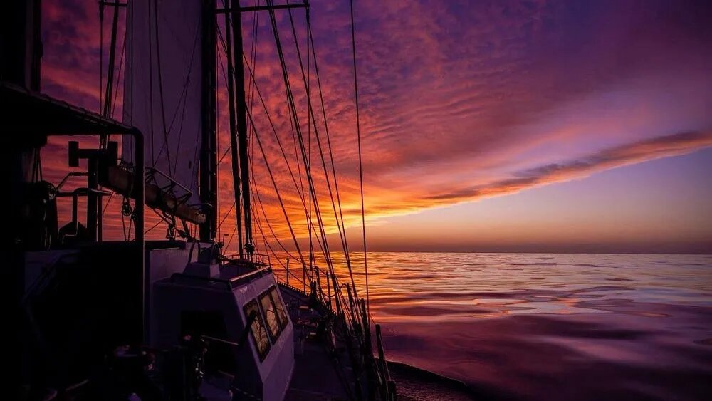 سفر،مسير،روسيه،بلوو،عبور،شمال،بريكس،سرگئي،خدمه،قايق،برزيل،در ...