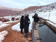 تولید سالانه ۶۰ تن ماهی قزل‌آلا در مجن؛ موانع تعاونی‌ها رفع می‌شود