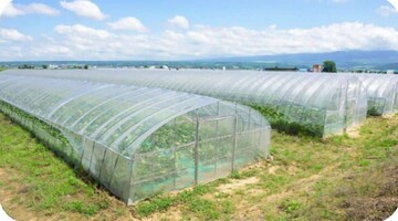 گام تازه تولید در کردستان؛ طرح‌های گلخانه‌ای وارد فاز اجرا