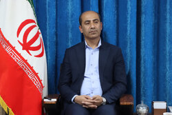 فرماندار دشتی: افراد توانمند برای ثبت‌نام در شوراهای روستا اقدام کنند