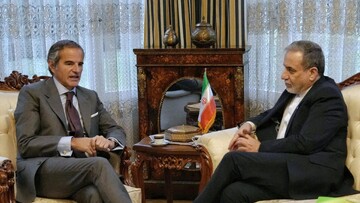 Araghchi, IAEA chief meet in Geneva ahead of new round of Iran-US nuclear talks