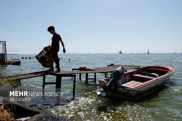 چالش ماهیگیران ونزوئلایی با آلودگی نفتی دریا
