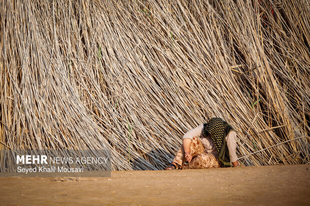 Rahian-e-Noor (Caravan of Lights) in Khorramshahr
