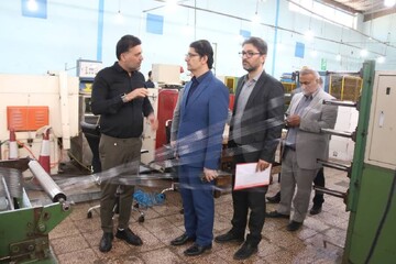 مدیرکل صمت بوشهر: چالش‌های صنایع دشتستان به‌صورت ویژه پیگیری می‌شود