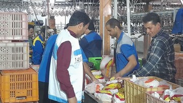 ۴۰ اکیپ دامپزشکی در استان بوشهر نظارت می‌کنند