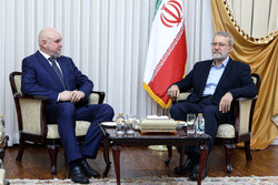 وزير الطاقة الروسي يلتقي لاريجاني في طهران