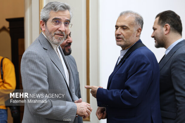 دیدار وزیر انرژی روسیه با دبیر شورای عالی امنیت ملی