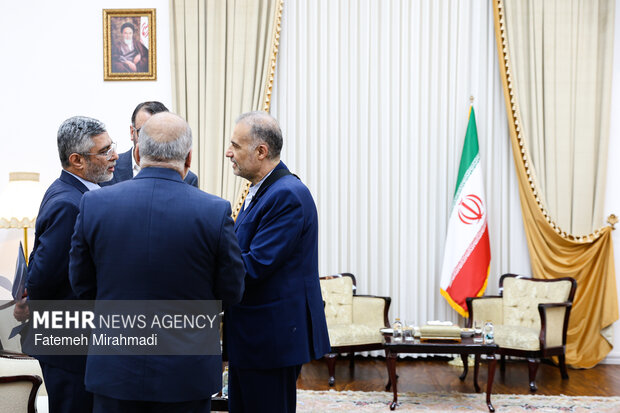 دیدار وزیر انرژی روسیه با دبیر شورای عالی امنیت ملی