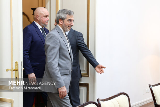 دیدار وزیر انرژی روسیه با دبیر شورای عالی امنیت ملی