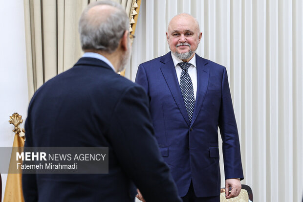 دیدار وزیر انرژی روسیه با دبیر شورای عالی امنیت ملی