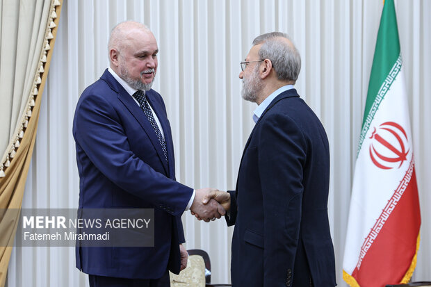 دیدار وزیر انرژی روسیه با دبیر شورای عالی امنیت ملی