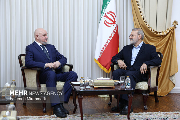 دیدار وزیر انرژی روسیه با دبیر شورای عالی امنیت ملی