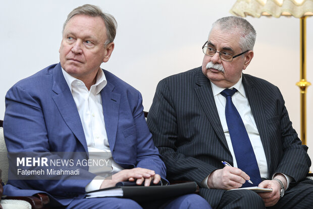 دیدار وزیر انرژی روسیه با دبیر شورای عالی امنیت ملی