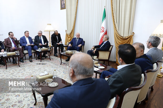 دیدار وزیر انرژی روسیه با دبیر شورای عالی امنیت ملی