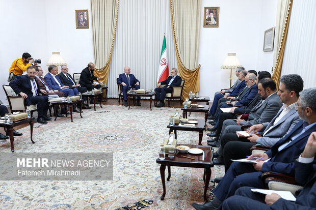 دیدار وزیر انرژی روسیه با دبیر شورای عالی امنیت ملی