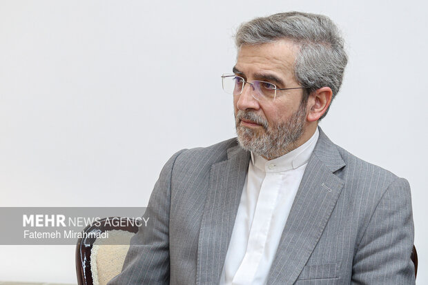 دیدار وزیر انرژی روسیه با دبیر شورای عالی امنیت ملی