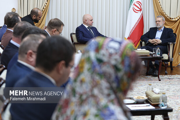 دیدار وزیر انرژی روسیه با دبیر شورای عالی امنیت ملی