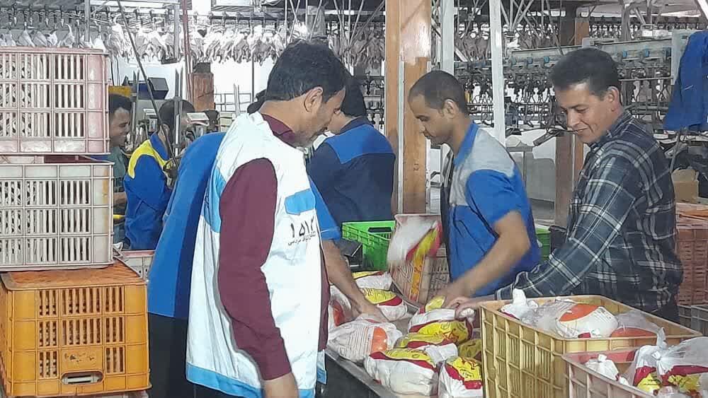 استان،ماه،دامپزشكي،بوشهر،رمضان،اكيپ