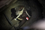 Gas explosion kills 38 miners in central Nigeria: report