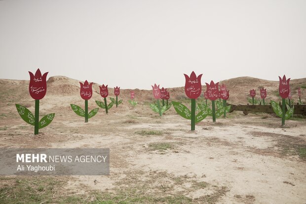 از شالیزار تا خاکریز جنگ