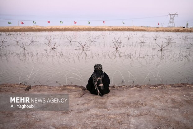 از شالیزار تا خاکریز جنگ